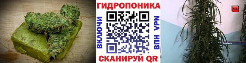 omg зеркало Солигалич Cannafood марихуана