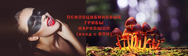 стаф Алексеевка