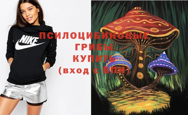 стаф Алексеевка