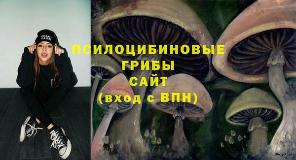 стаф Алексеевка